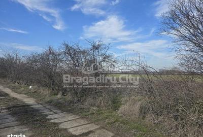 Teren de 3100 mp, în Central