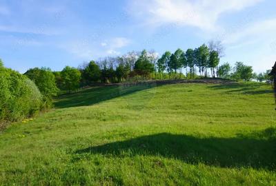 Teren 15,000mp Sighetu Marmatiei / Strada Mocani?ei - 10