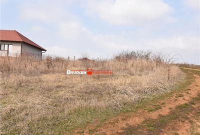 LOC DE CASA IN PETREU - 2