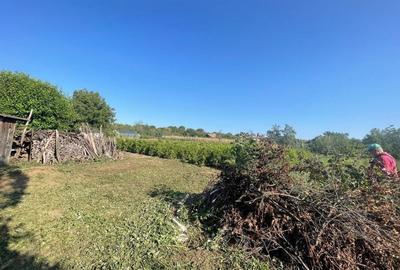 Casă cu 3 camere în Radovan - 13