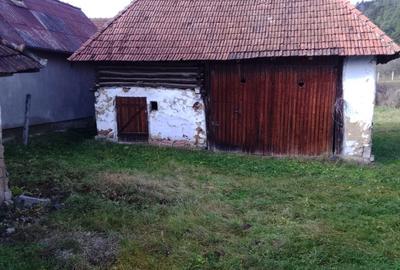 Casă cu 3 camere cu Teren 1500 Mp în Morlaca - 4