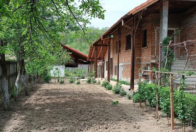 Casă cu 4 camere în Târgu Logrești - 8