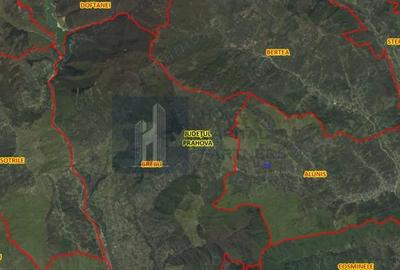 Teren de 9845 mp, în Aluniș - 3