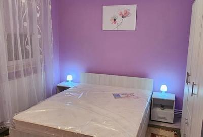 Apartament cu 2 camere decomandat în Tomis Nord - 5