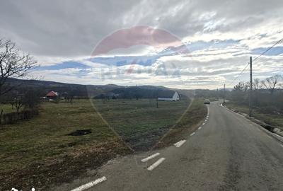 Teren de 2007 mp, în Șișești - 9