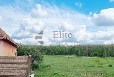 Casă cu 4 camere în Gurbediu - 8