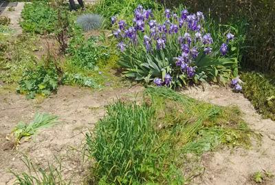 Casa Ungaria in localitatea Hencida Casa Ungaria in localitatea Hencida - 8