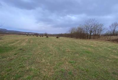 Teren Construcții extravilan de 5087 mp, în Sud-Vest - 10