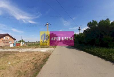 Teren construcție casă - 1 Decembrie - Zona Metropolitană București Teren construcție casă - 1 Decembrie - Zona Metropolitană București - 17