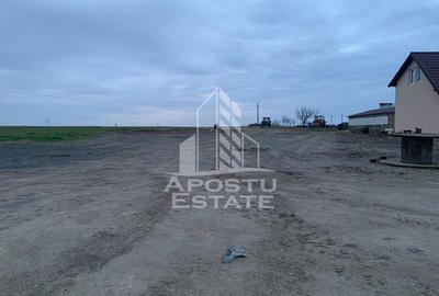 Teren de 2635 mp, în Zăbrani - 2