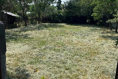 Casă de vânzare, teren 1400mp | Măldăeni, Teleorman - 11