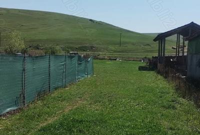 Teren de 580 mp, în Dezmir - 4