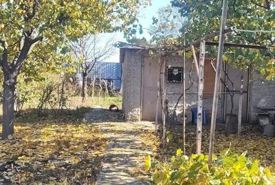 Casă cu 3 camere în Central - 8