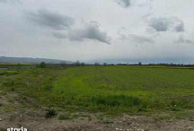 Teren de 2500 mp, în Câmpineanca - 2