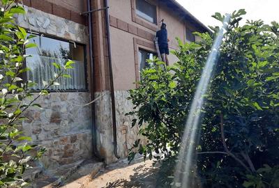 Casă cu Teren 2665 Mp în Caracal - 3