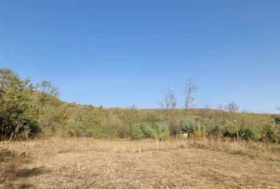 Teren de 2500 mp, în Tisău - 3