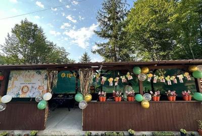 Vanzare Vila P + 1 mobilata si utilata, Localitatea Porumbacu de Sus, Jud. Sibiu - 7