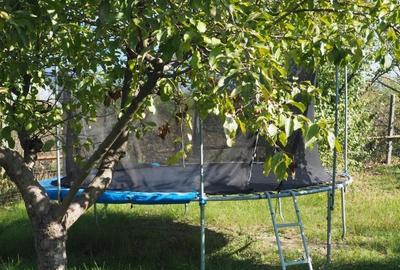 Proprietate impresionantă Snagov | rezidență, pensiune sau sediu firma - 36