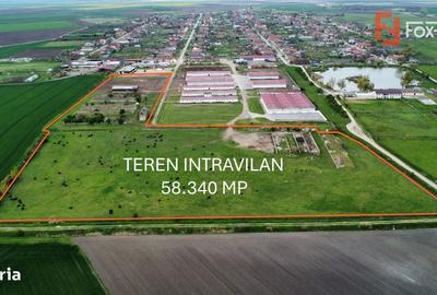 Spațiu comercial, în Peciu Nou