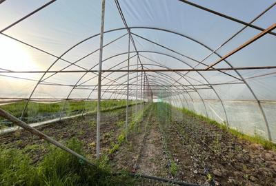 Teren par?ial intravilan 23.500 mp, apa, curent ?i suprav Teren par?ial intravilan 23.500 mp, apa, curent ?i suprav - 21