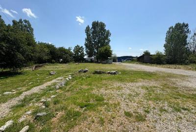 Complex industrial *hala 682 mp + teren 2,5 ha* - Tetila - 2