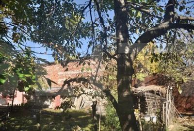 Casă cu 2 camere în Fratelia - 3