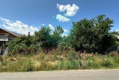 Teren Construcții intravilan de 16534 mp, în Siliștea Snagovului - 5