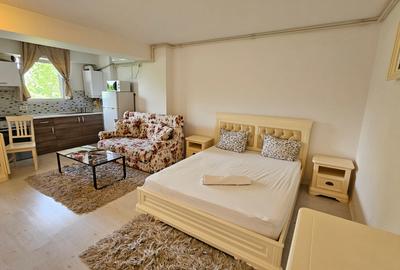 Garsoniera zona Otopeni (Aeroport) bloc NOU, Mobilata-Utilata MODERN - 22