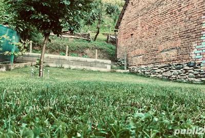 Casa de vanzare in Marginimea Sibiului, sat Talmacel - 10