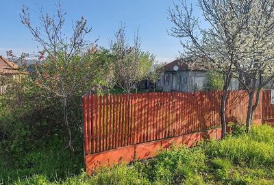 Casă cu Teren 5000 Mp în Unguriu - 5