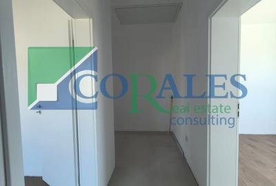 Duplex cu 3 camere cu Teren 290 Mp în Bucovăț (Remetea Mare) - 8