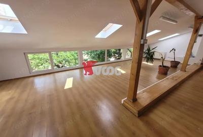 Casa pentru sediu de firma in zona Fratelia Casa pentru sediu de firma in zona Fratelia - 2