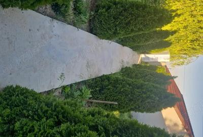 Casă cu 5 camere în Scorțaru Vechi - 9