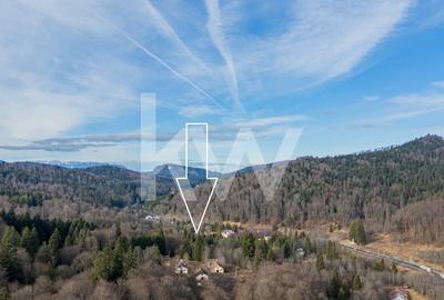 Oportunitate de investitie in Predeal - 2