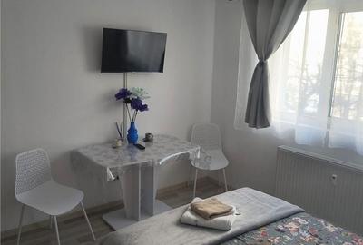 Garsonieră în Narcisa - 3