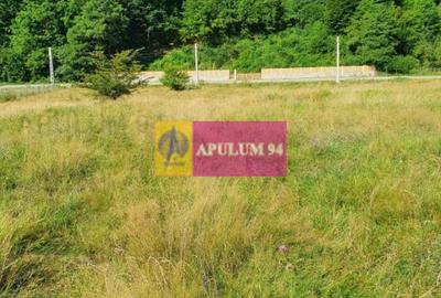 Teren Construcții intravilan de 744 mp, în Periferie - 12