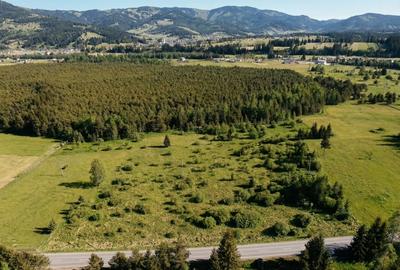 Teren Construcții intravilan de 12743 mp, în Șaru Dornei - 19