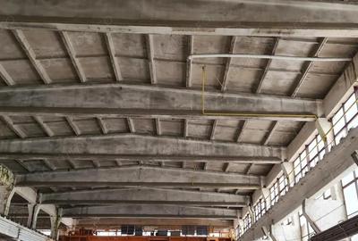 Brasov hala industriala 2000 mp cu platforma betonata - 1