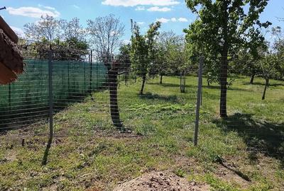 Casă cu 3 camere cu Teren 1347 Mp în Nădab - 4