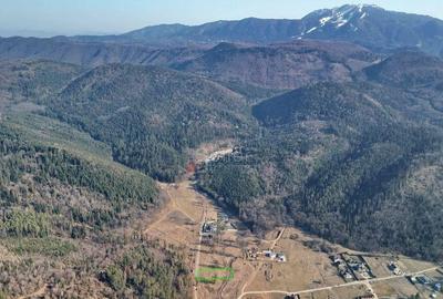 Teren intravilan - 4