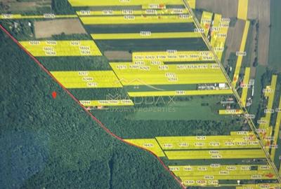 Teren Construcții intravilan de 4701 mp, în Gruiu - 2