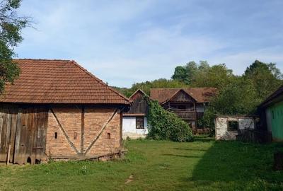 Teren intravilan cu potential, casa si anexe in Lunca - 20
