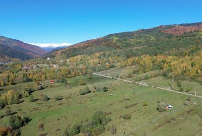 Teren de vanzare in Leresti - ideal pentru casa sau pensiune la munte - 7