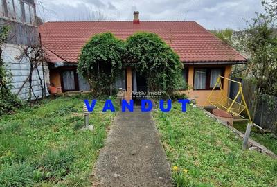 Resita Casa Cocheta cu Garaj - 1