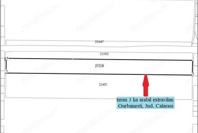 Teren de 30000 mp, în Gurbănești - 7