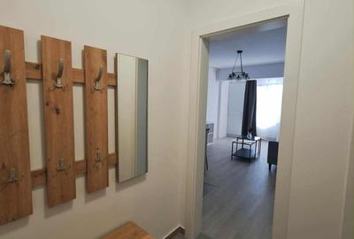 Apartament cu 2 camere decomandat, mobilat în Viilor - 11