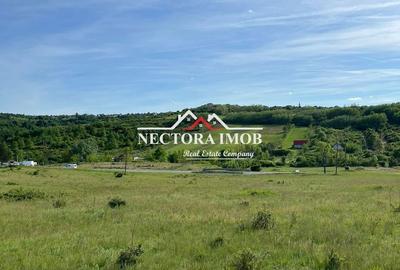 Teren de 8603 mp, în Sânmartin - 3