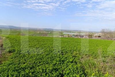 Teren în Cristești - 4