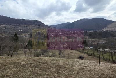 Spațiu comercial, în Secăria - 5