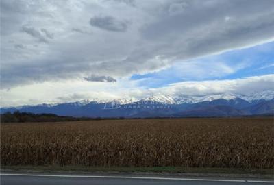 Teren 5000 mp langa E68 - 3